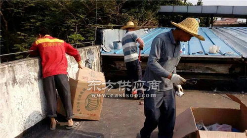 廠房補(bǔ)漏與管道疏通指南 如何選擇合適的服務(wù)商